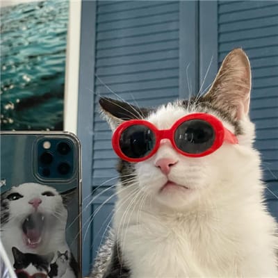 جاوید میاں avatar